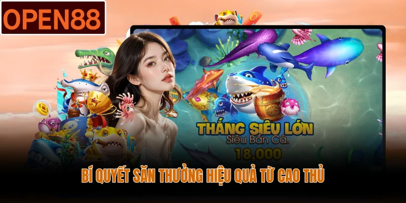 Bí quyết săn thưởng hiệu quả từ cao thủ