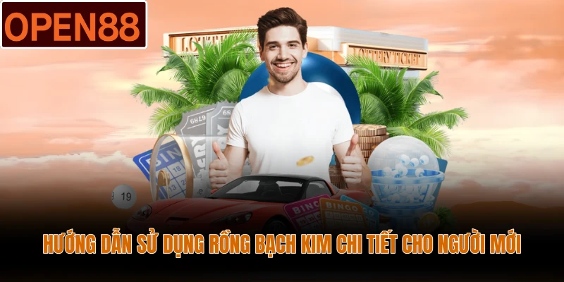 Hướng dẫn sử dụng Rồng Bạch Kim chi tiết cho người mới